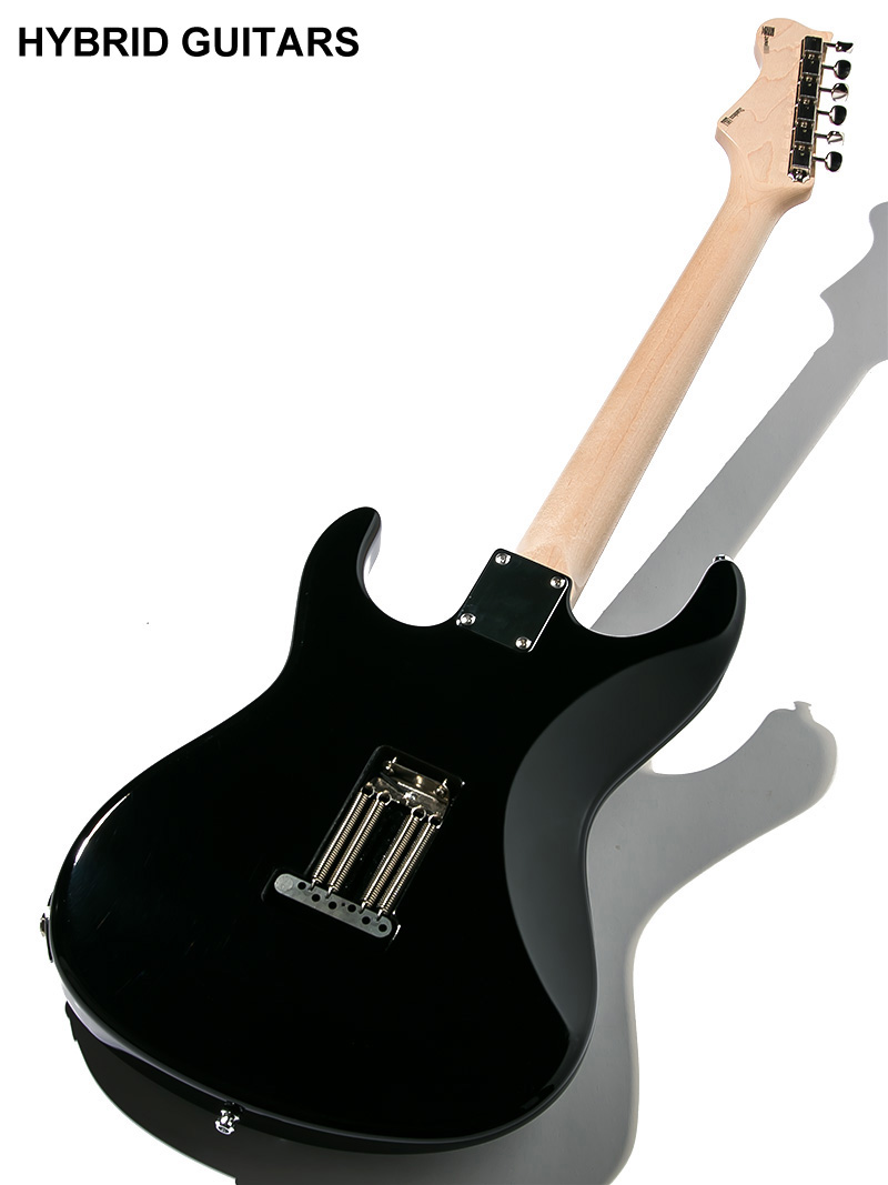Freedom Custom Guitar Research Custom Order C.S. EZa Nitrocellulose Lacquer Black 2020 2
