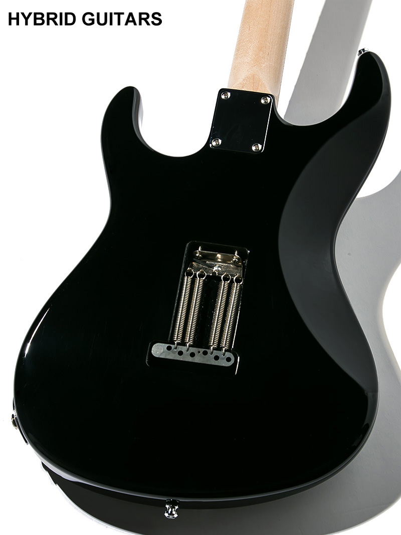 Freedom Custom Guitar Research Custom Order C.S. EZa Nitrocellulose Lacquer Black 2020 4