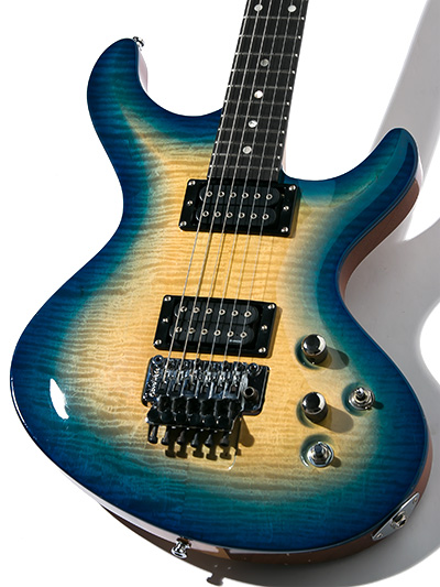 ESP Custom Order Guitar Custom Color 中古｜ギター買取の東京新宿 