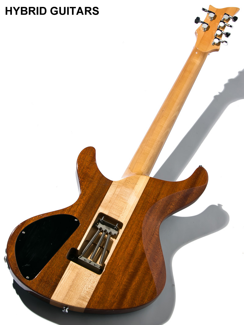 ESP Custom Order Guitar Custom Color 2