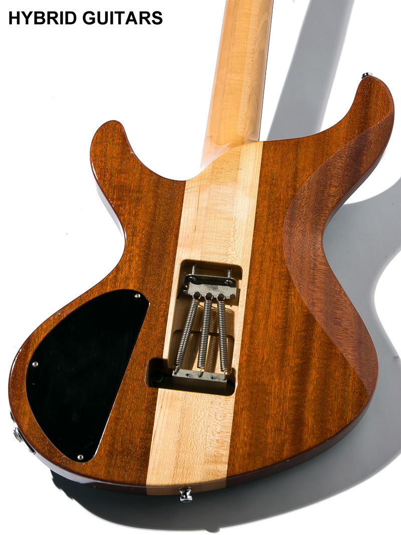 ESP Custom Order Guitar Custom Color 4