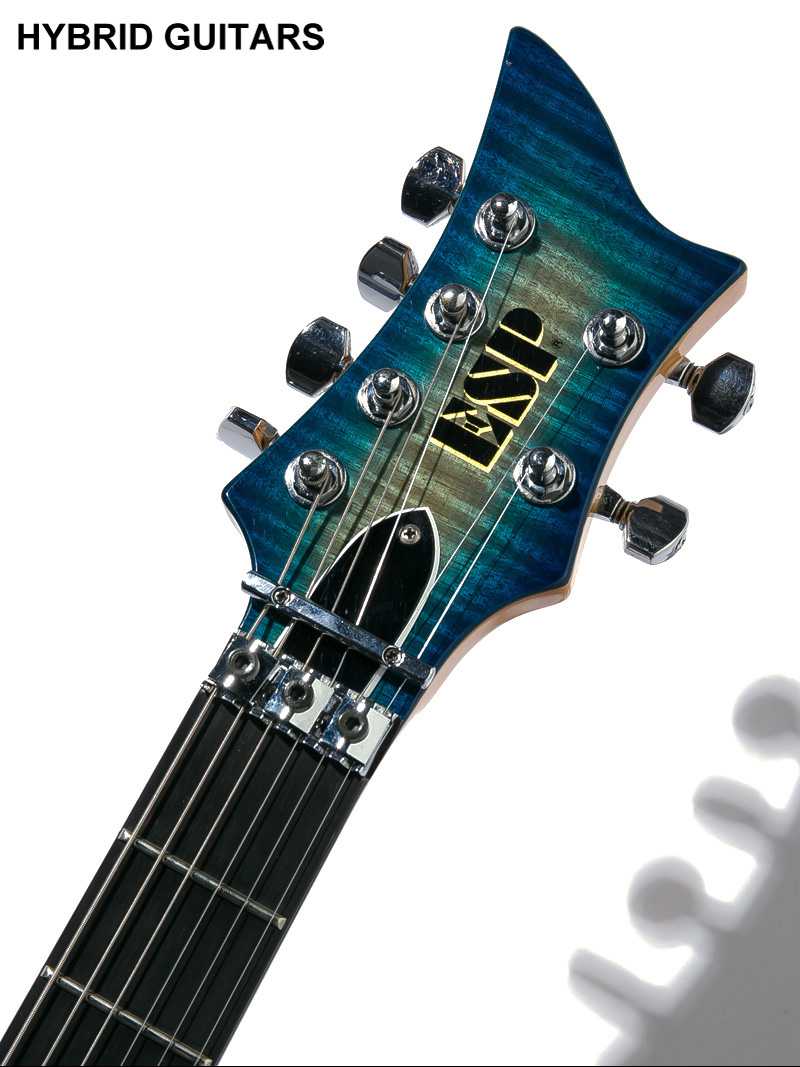 ESP Custom Order Guitar Custom Color 5
