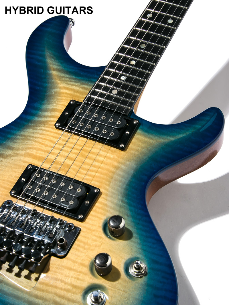 ESP Custom Order Guitar Custom Color 9