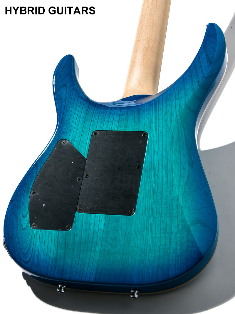 G-Life Guitars DSG Life-Ash Royal Blue Turquoise 4