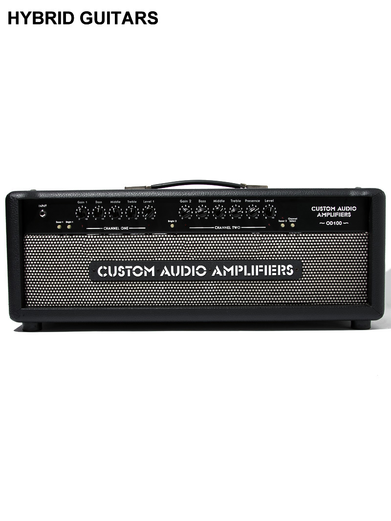 Custom Audio Amplifiers OD100 1
