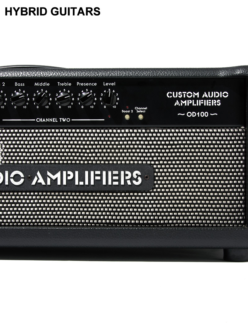 Custom Audio Amplifiers OD100 4