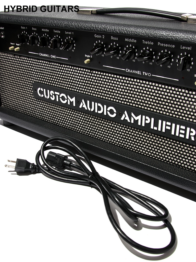 Custom Audio Amplifiers OD100 7