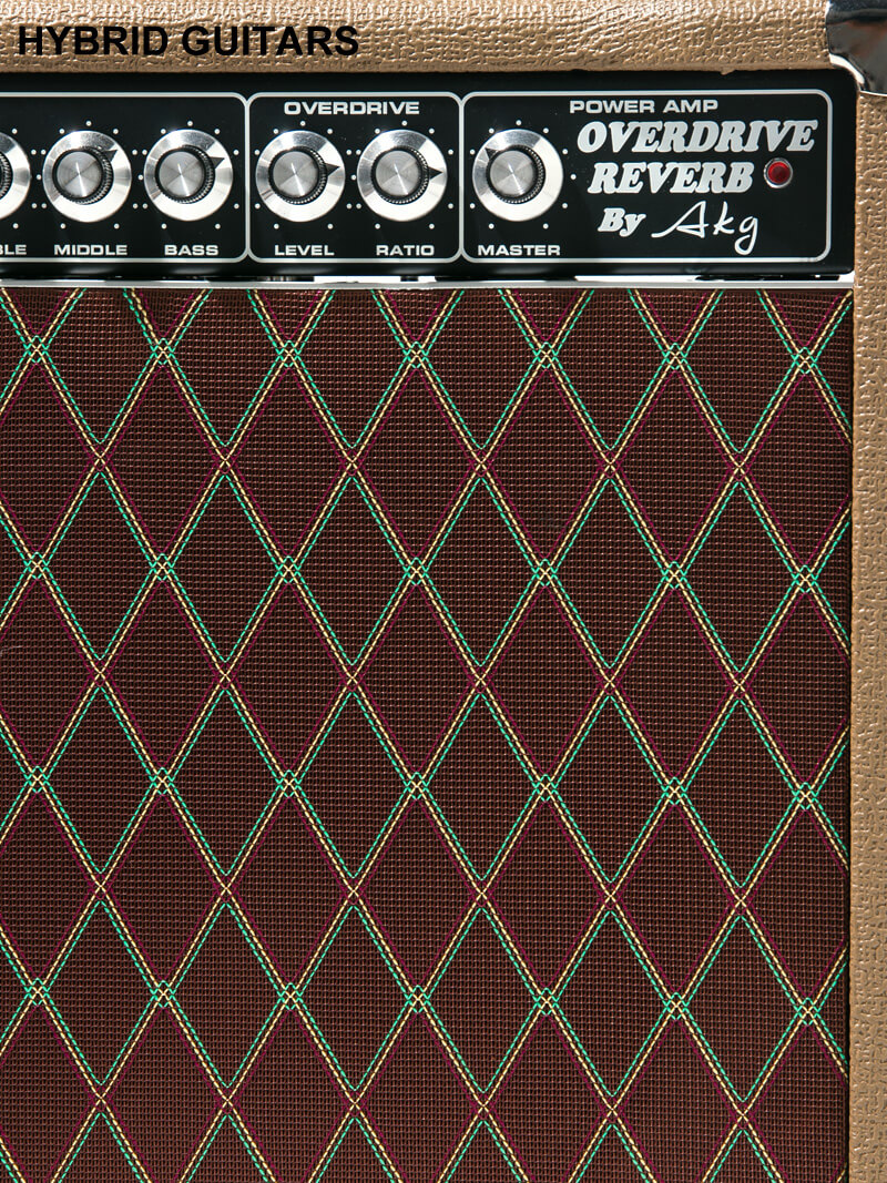 AKG Sound Design 8W Overdrive Reverb Combo  Brown Tolex 6