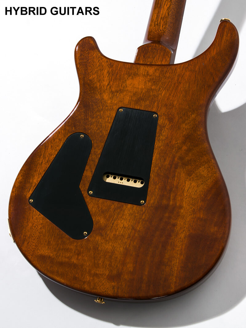 Paul Reed Smith(PRS) 35th Anniversary Custom 24 5A-Special Order 1P-Mahogany & 10Top Special Order Tea Top 4
