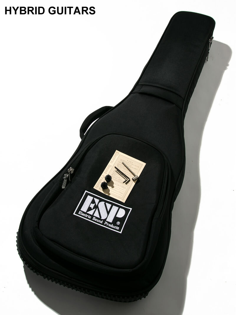 ESP STREAM-SL5 Snow White 13