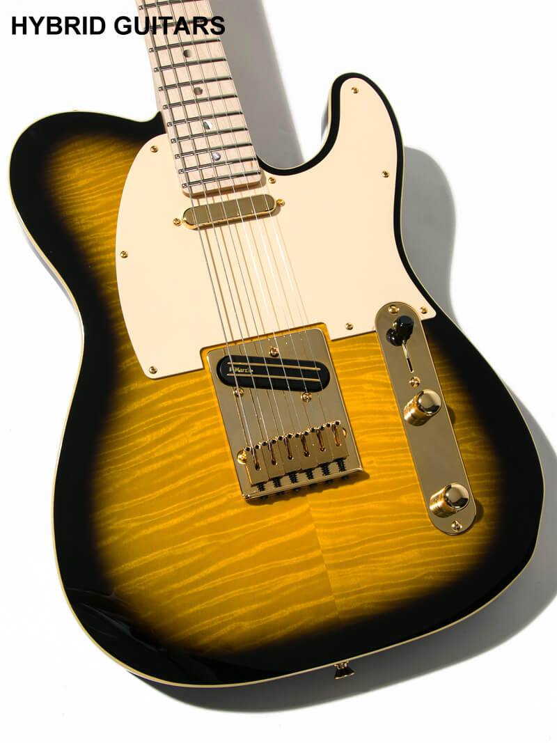 Fender Ritchie Kotzen Tele Brown Sunburst 12