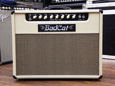 Bad Cat Hot Cat 15 Combo