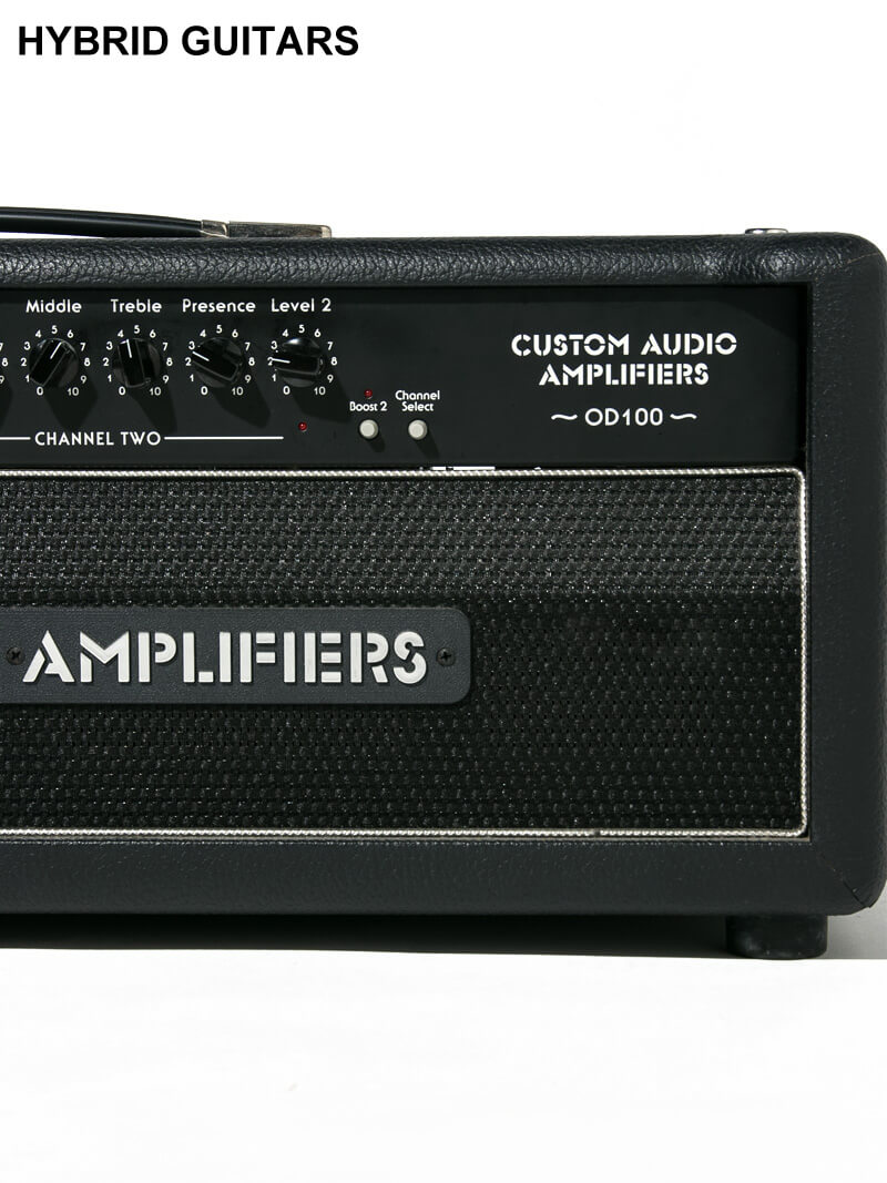 Custom Audio Amplifiers OD100 Head EL34 5