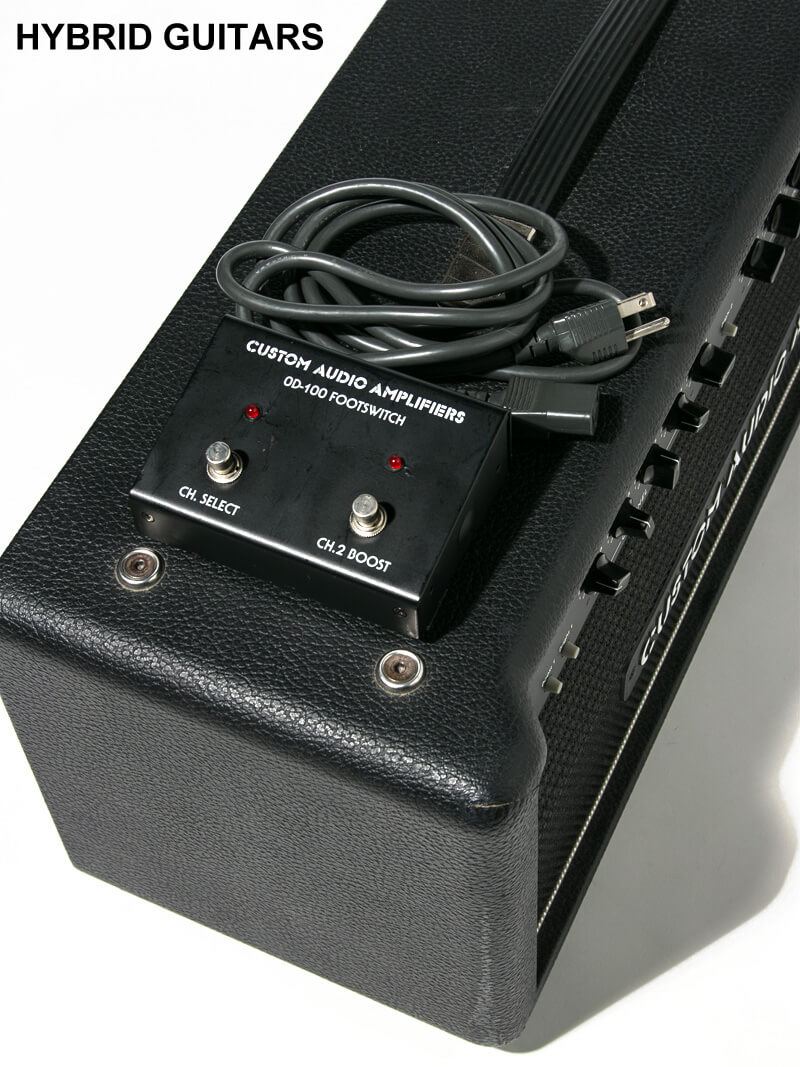 Custom Audio Amplifiers OD100 Head EL34 8