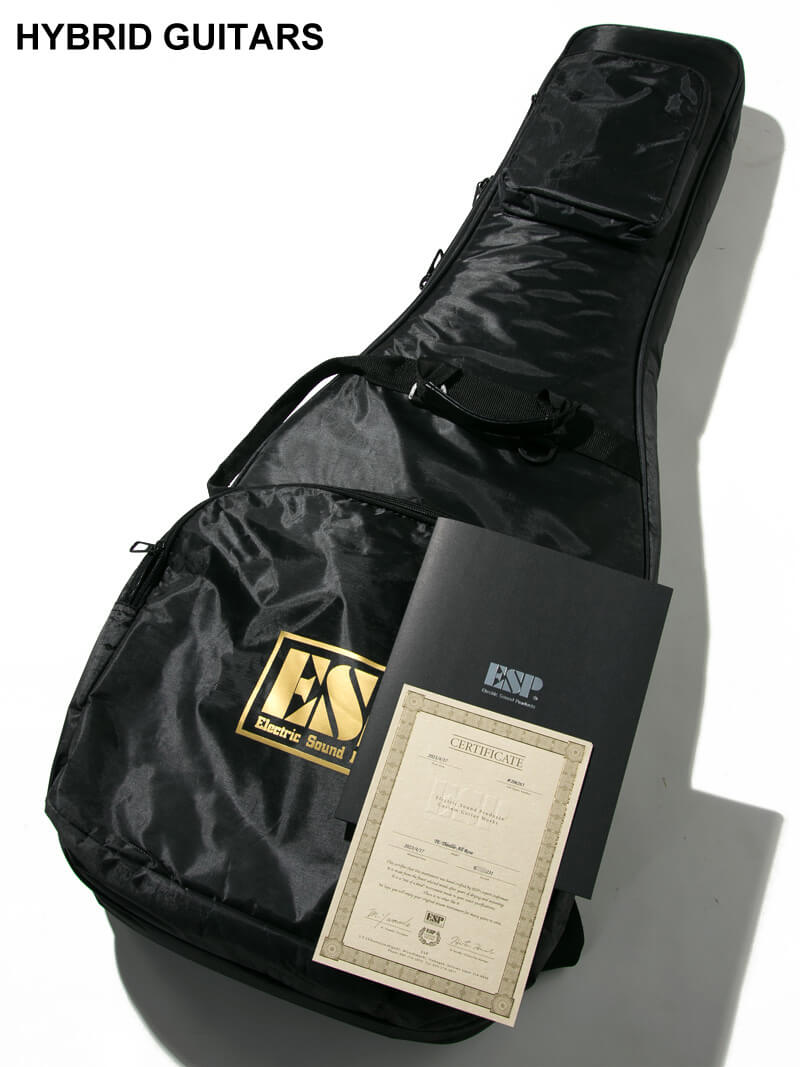 Navigator Custom Order TE-Thinline All Rosewood Telecaster Type 14