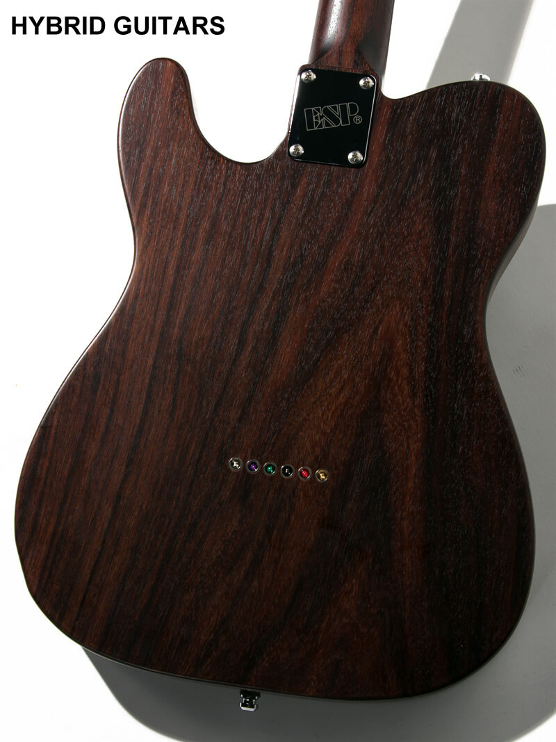 Navigator Custom Order TE-Thinline All Rosewood Telecaster Type 4