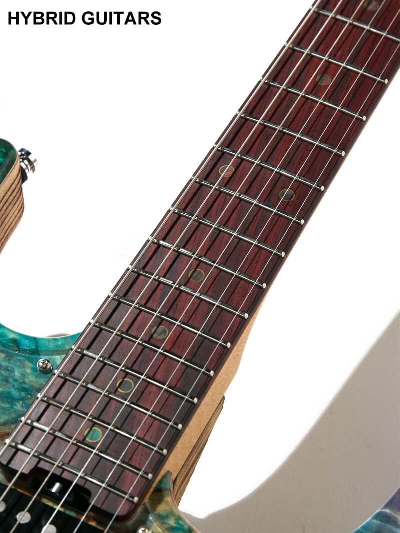 ESP Custom Order Snapper Rexwood Buckeye Burl & Driftwood Burner with James Tyler P.U. 17