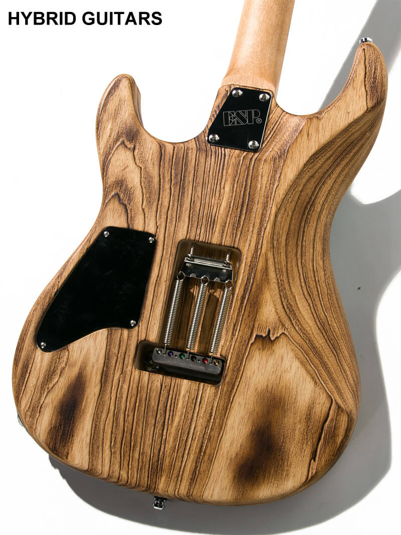 ESP Custom Order Snapper Rexwood Buckeye Burl & Driftwood Burner with James Tyler P.U. 4