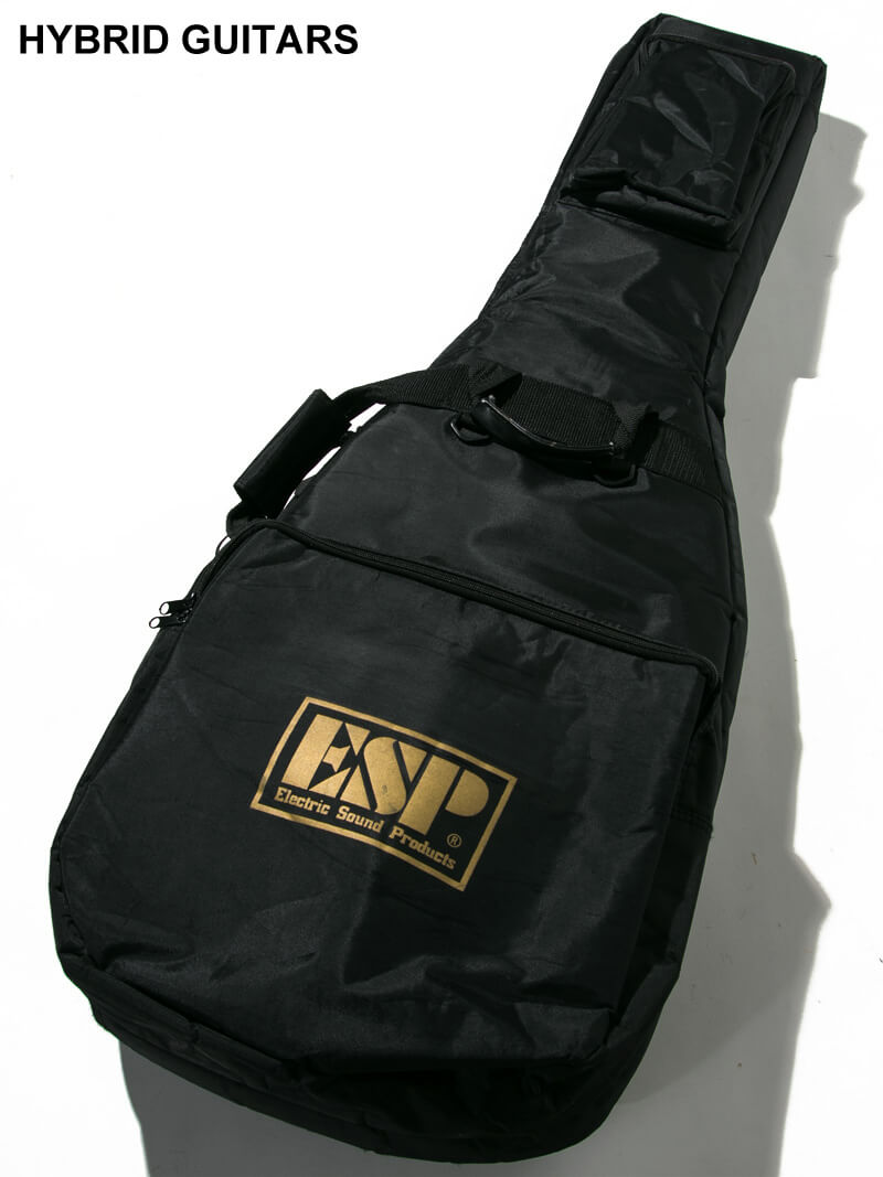 Schecter Telecaster Thinline Quilt Top 17