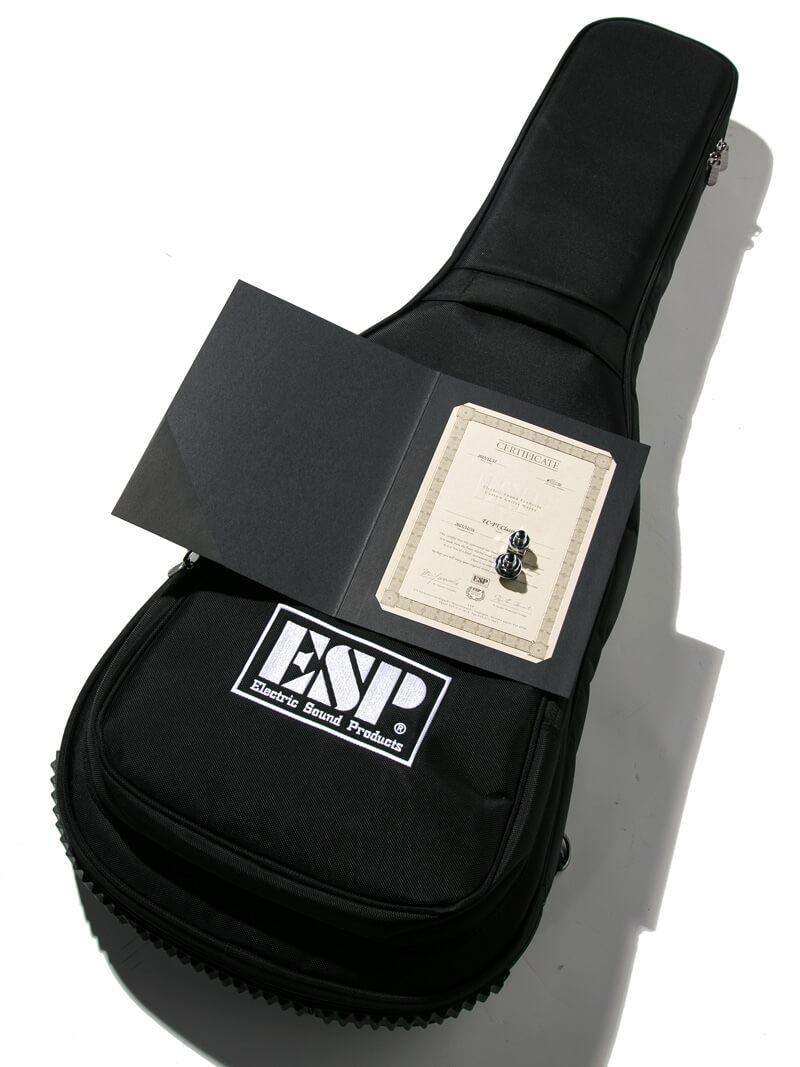 ESP Custom Order Eclipse EC-FT-Classic Honey Burst 15