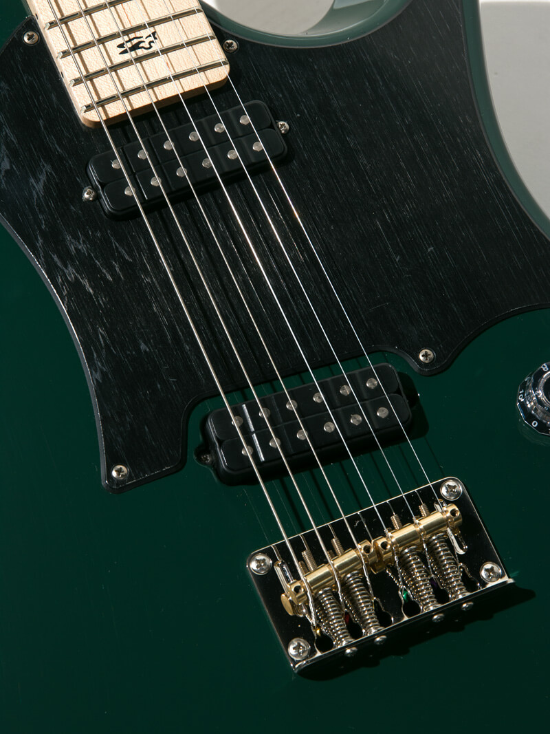 Paul Reed Smith(PRS)  Myles Kennedy Hunters Green 11