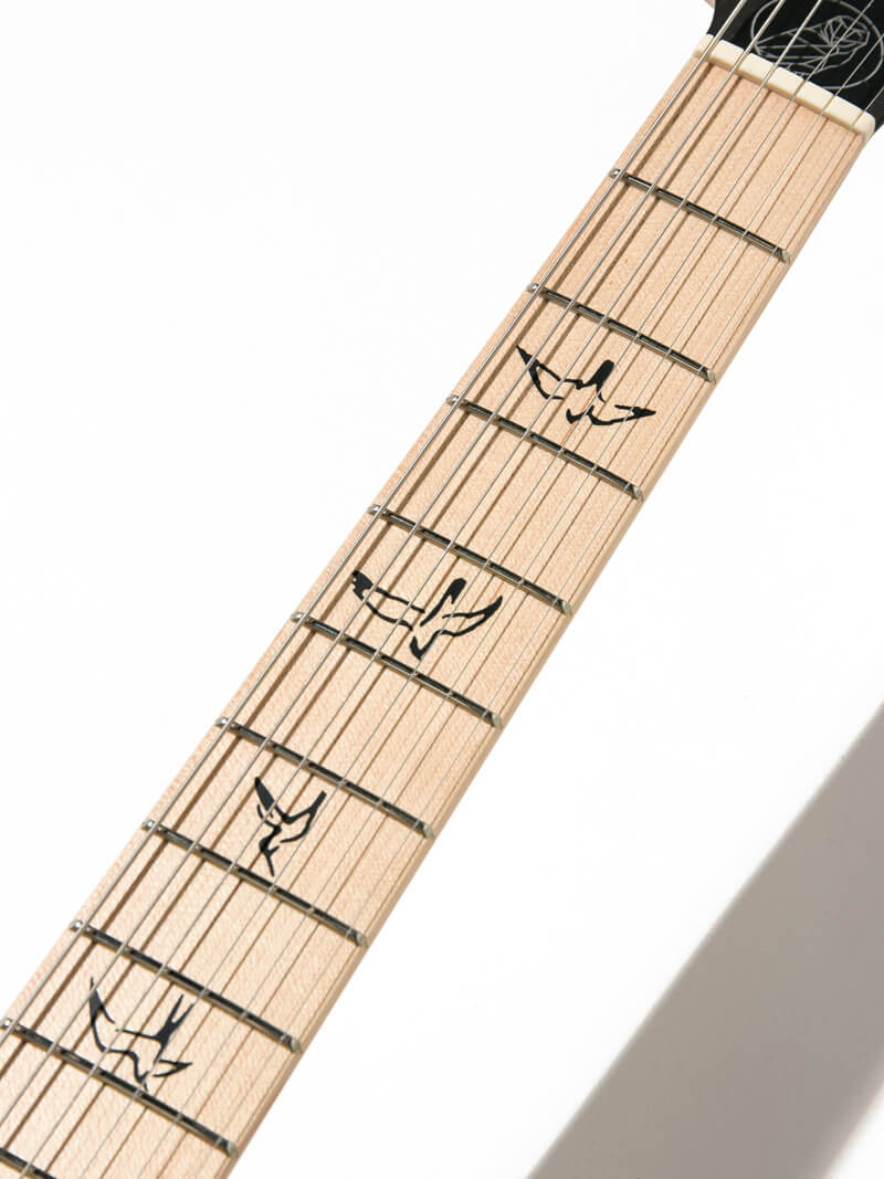 Paul Reed Smith(PRS)  Myles Kennedy Hunters Green 12