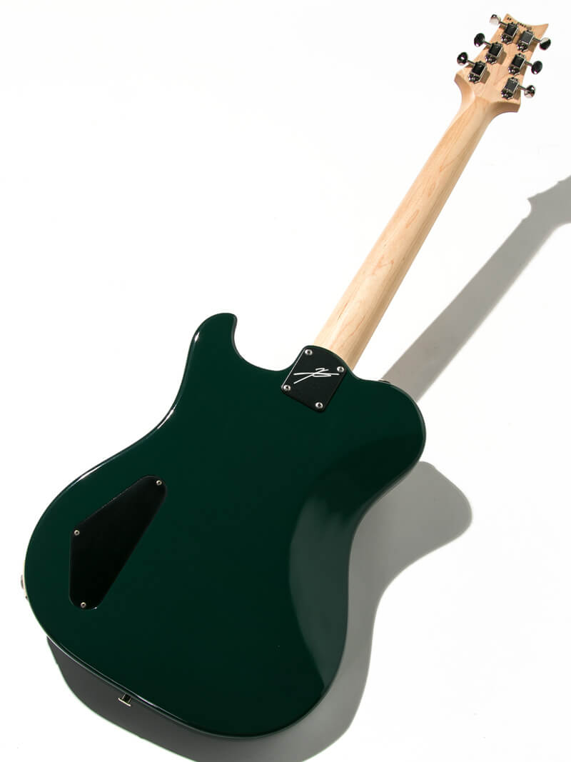 Paul Reed Smith(PRS)  Myles Kennedy Hunters Green 2