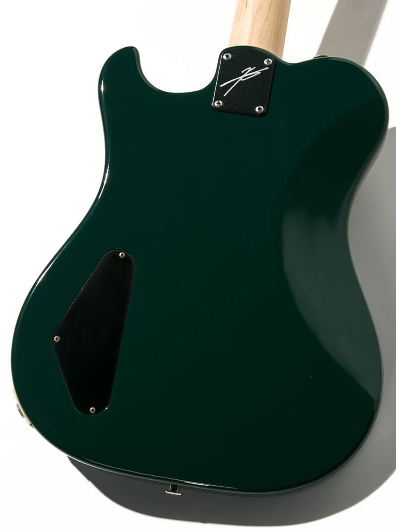 Paul Reed Smith(PRS)  Myles Kennedy Hunters Green 4