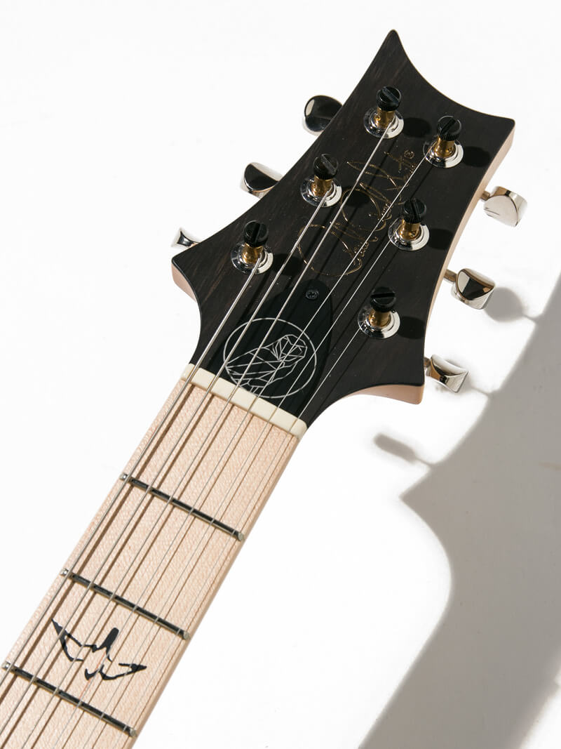 Paul Reed Smith(PRS)  Myles Kennedy Hunters Green 5