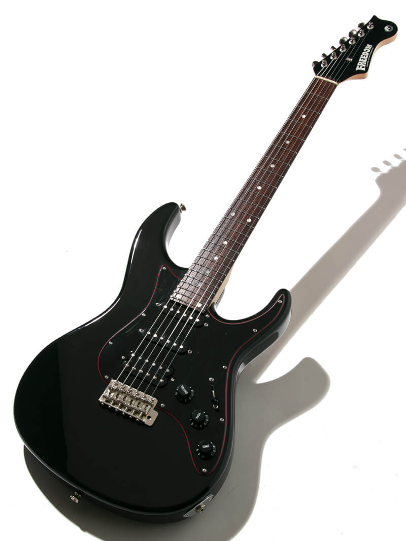 Freedom Custom Guitar Research C.S. EZa 24F Proto Black 全体正面
