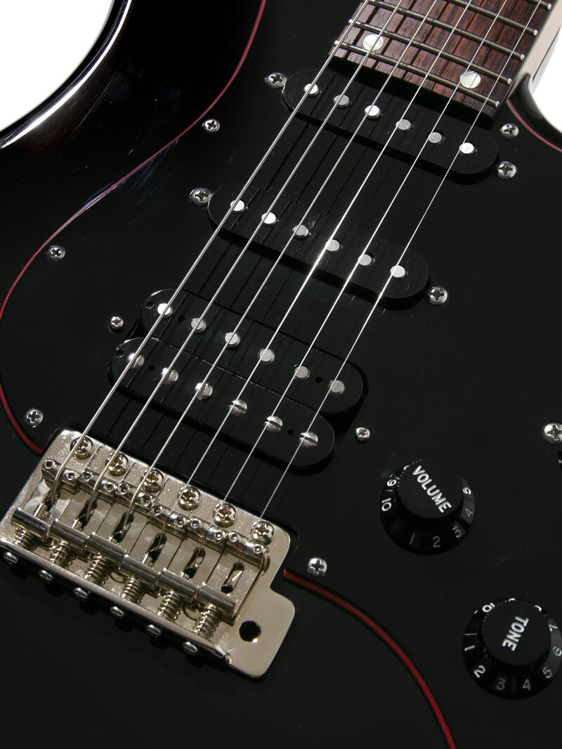 Freedom Custom Guitar Research C.S. EZa 24F Proto Black 写真11