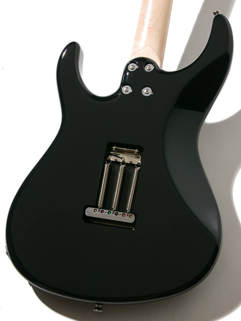 Freedom Custom Guitar Research C.S. EZa 24F Proto Black ボディー裏面