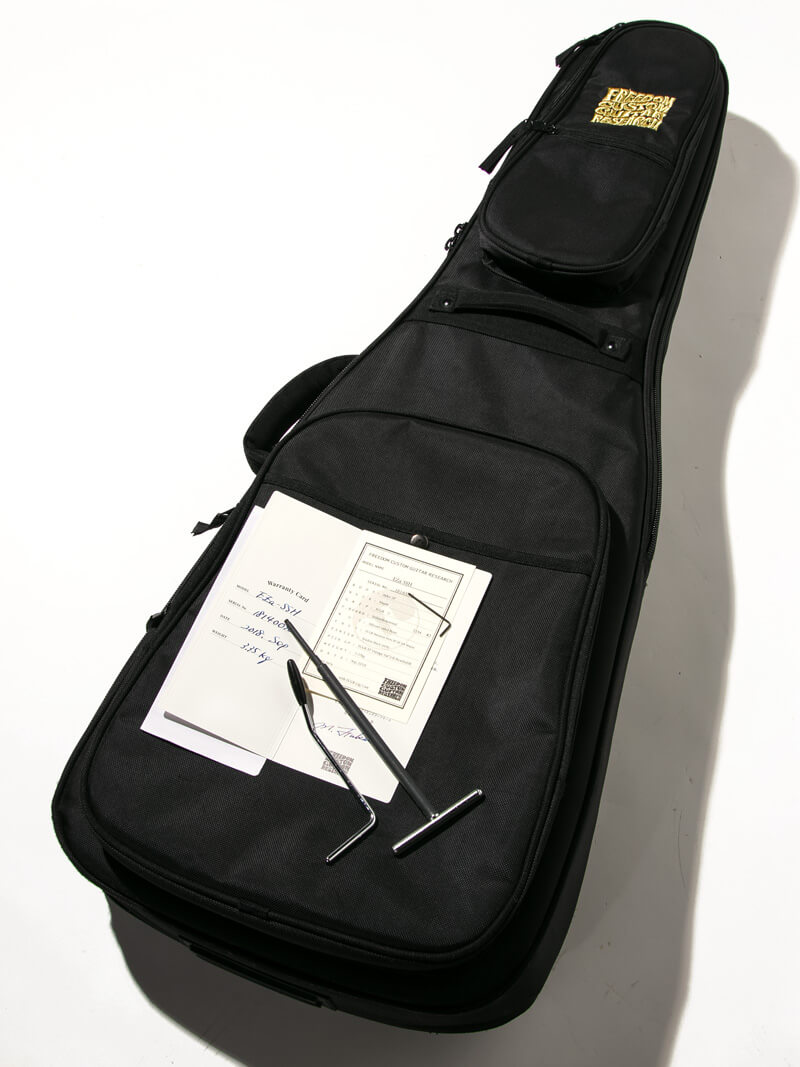 Freedom Custom Guitar Research EZa SSH Shadow Black 14