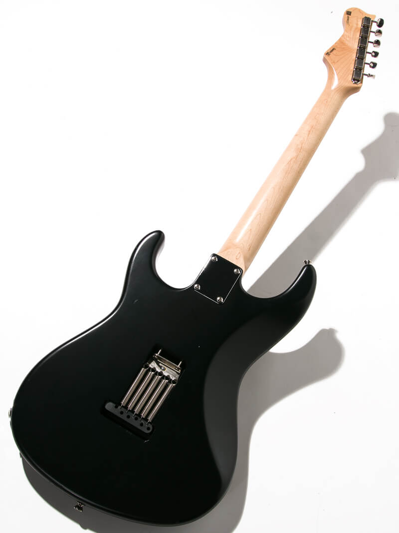 Freedom Custom Guitar Research EZa SSH Shadow Black 2
