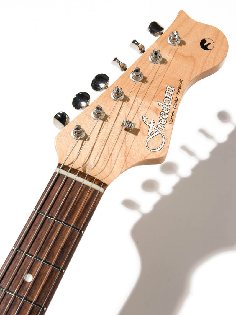 Freedom Custom Guitar Research EZa SSH Shadow Black 5