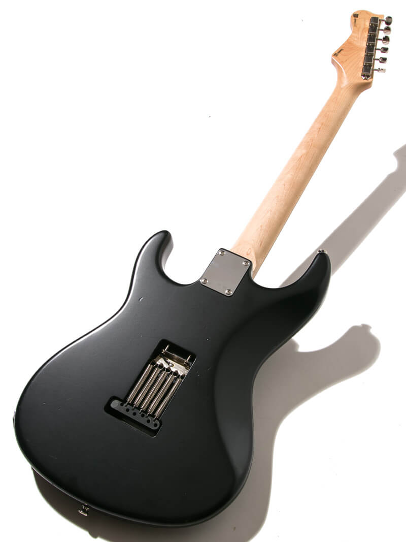 Freedom Custom Guitar Research EZa SSH Shadow Black 2