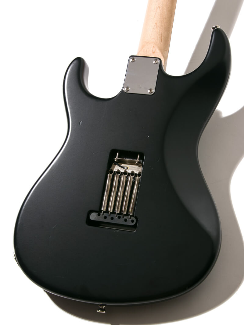 Freedom Custom Guitar Research EZa SSH Shadow Black 4