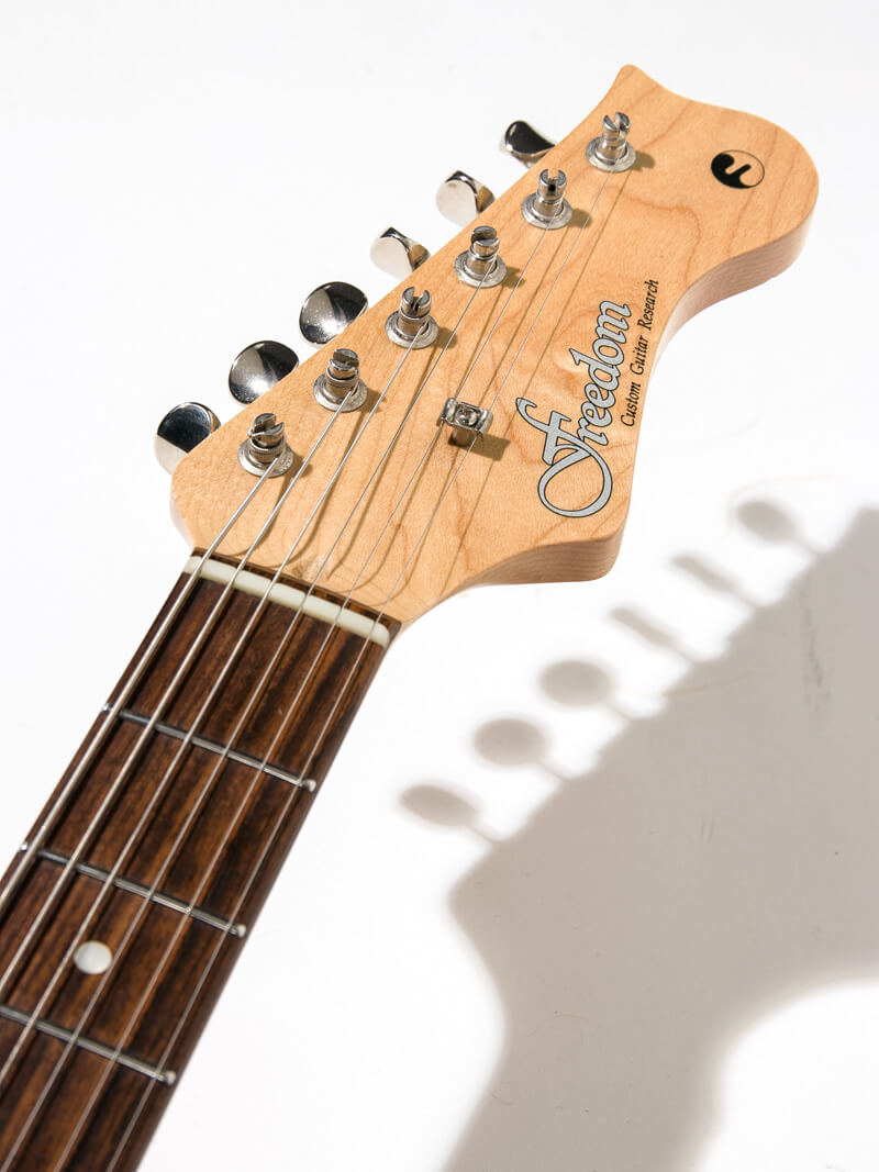 Freedom Custom Guitar Research EZa SSH Shadow Black 5