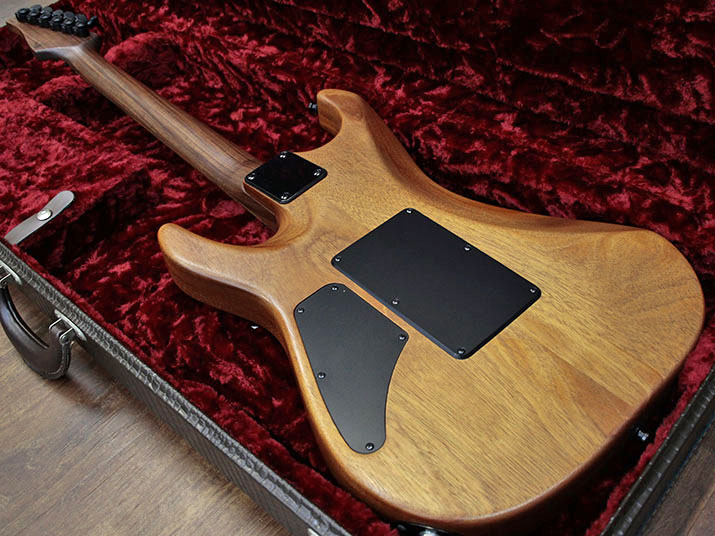 Suhr Reb Beach Model Koa 4