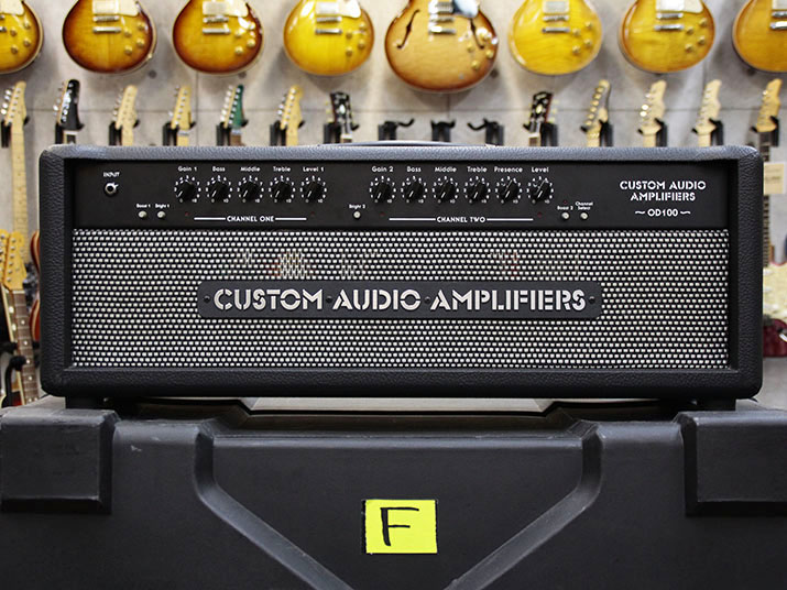 Custom Audio Amplifiers OD100 1