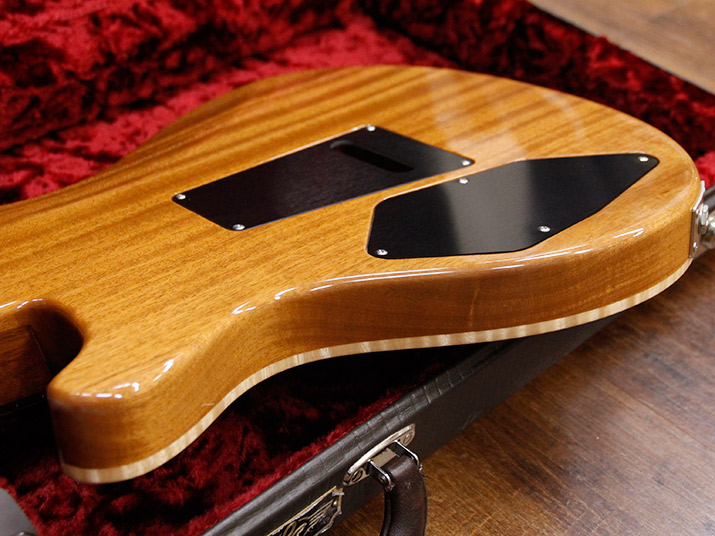 Paul Reed Smith(PRS) 513 AQUA BLEUX 10Top 12